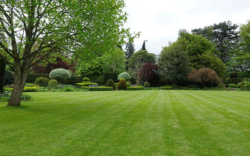 green lawn